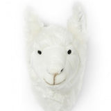 رأس - لاما ليلي