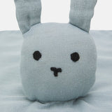 ضع شاطئ ناني توبانجا