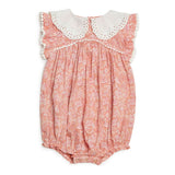 رومبير - زهور سيينا ديزي