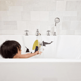 المغناطيس - المحيطات