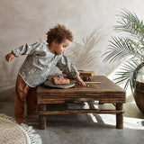 وعاء الأكمام - قطة كيدنس