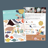 المغناطيس - المحيطات