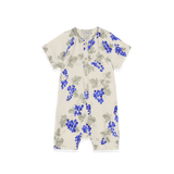 רומפר - Grapes Blue