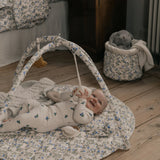 משטח פעילות - Dainty