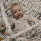 משטח פעילות - Dainty