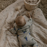 סלי אחסון - Viola