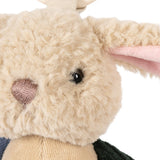 PELUCHE BUNNY- צעצוע התפתחות- SEA MIST