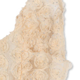 ALLY DRESS - SANDSHELL שמלה