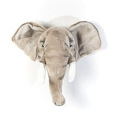 ראש חיה - Elephant Georges
