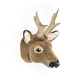 ראש חיה - Roe-deer Toby